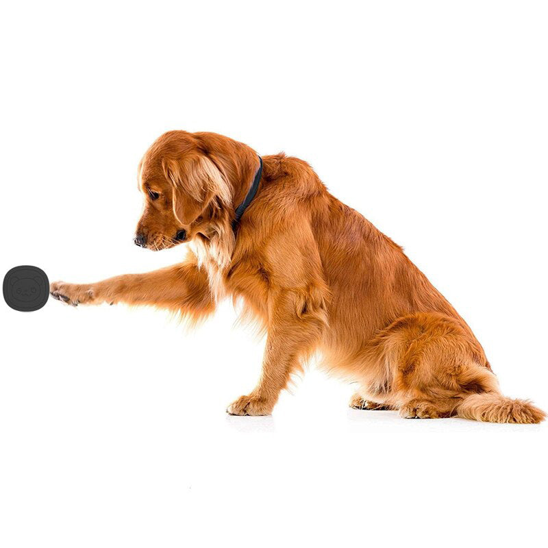 Bezdrátový zvonek pro zvířata