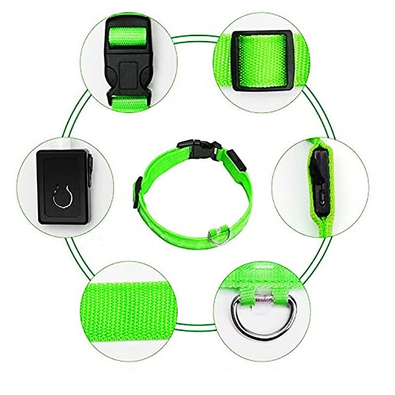 Svítící vodítko pro psy