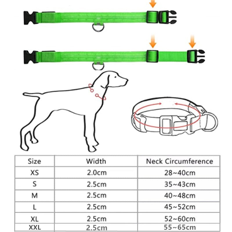 Svítící vodítko pro psy