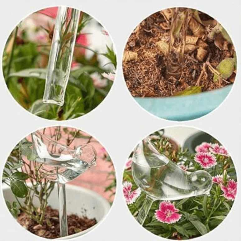 Samozavlažovací žárovka