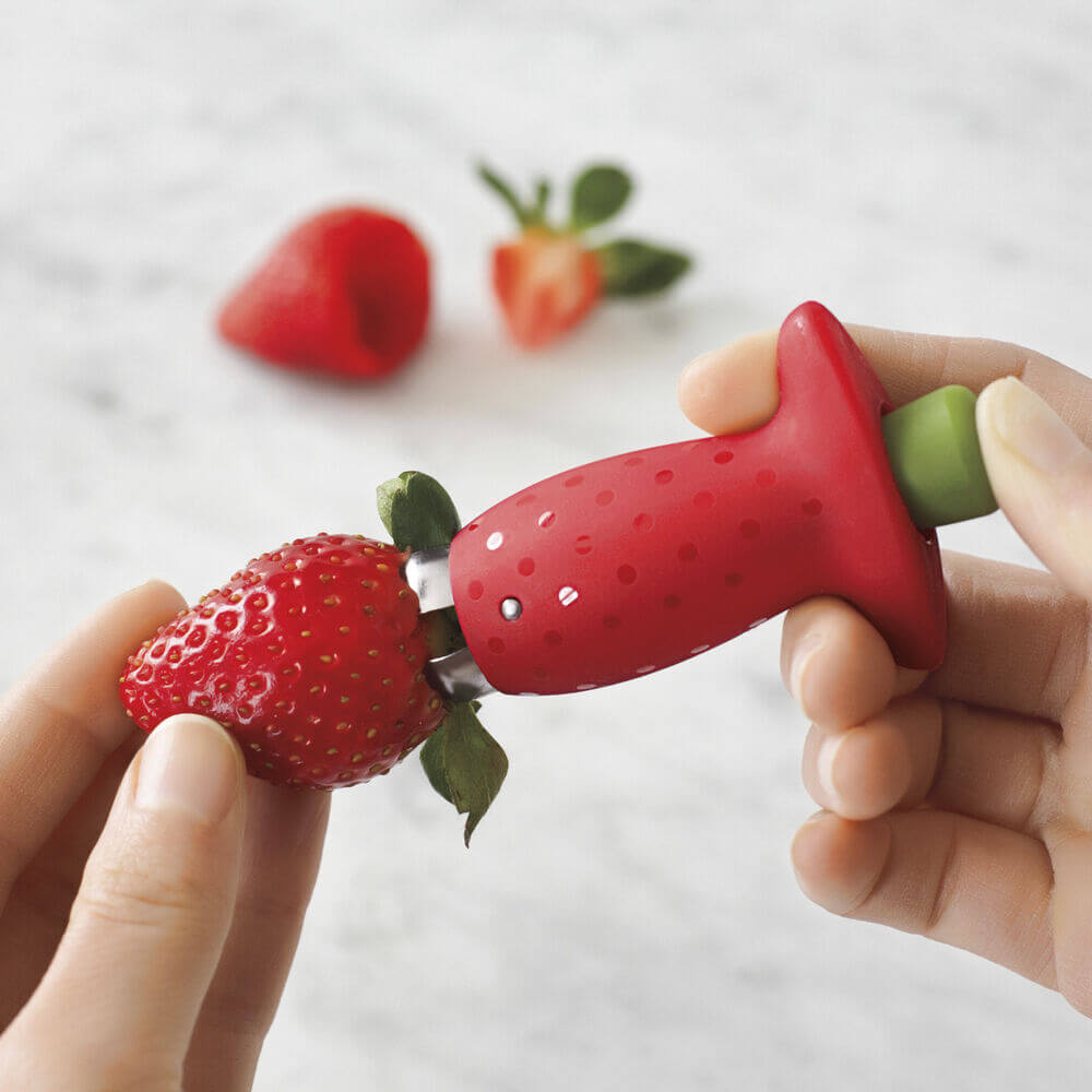 Sifon na stonku jahodníku