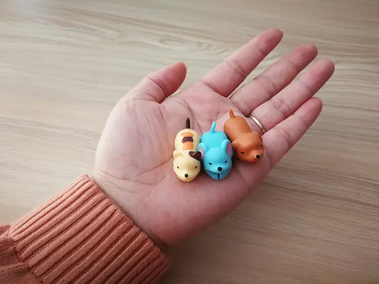 Roztomilá zvířata koušou kryty kabelů