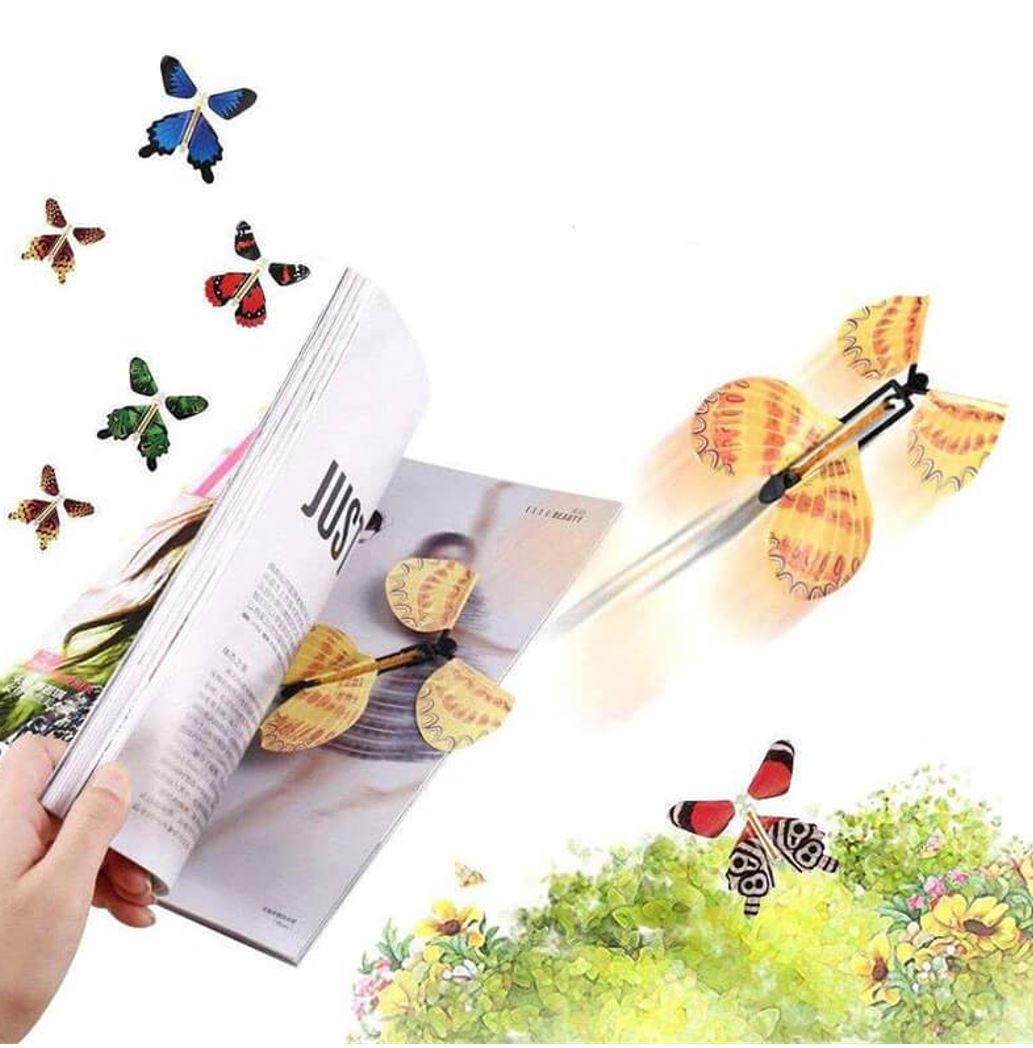 Kouzelní létající motýli