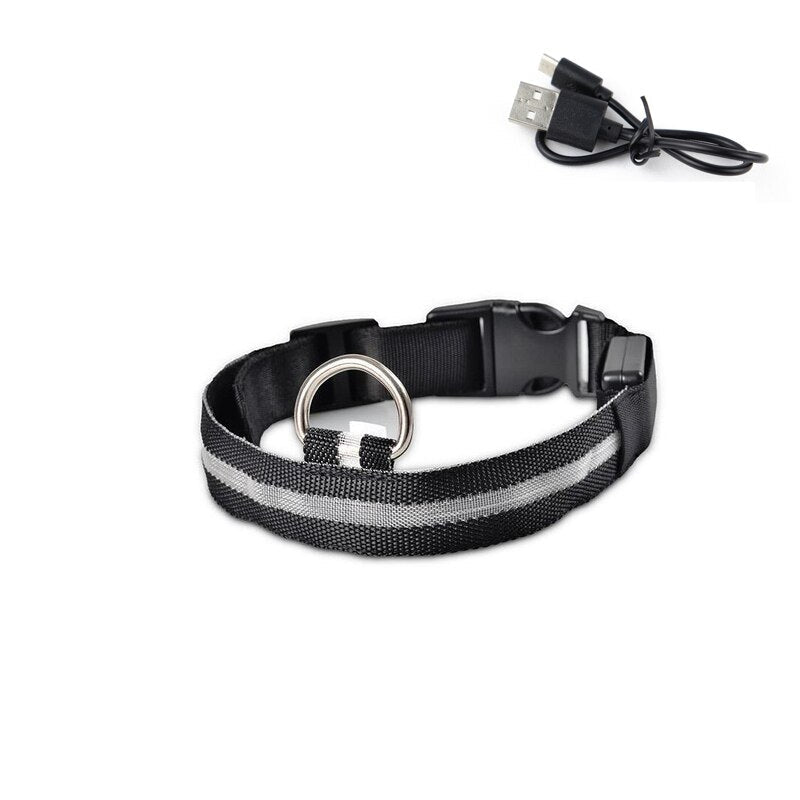 Svítící vodítko pro psy