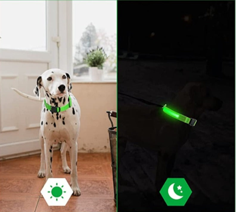 Svítící vodítko pro psy