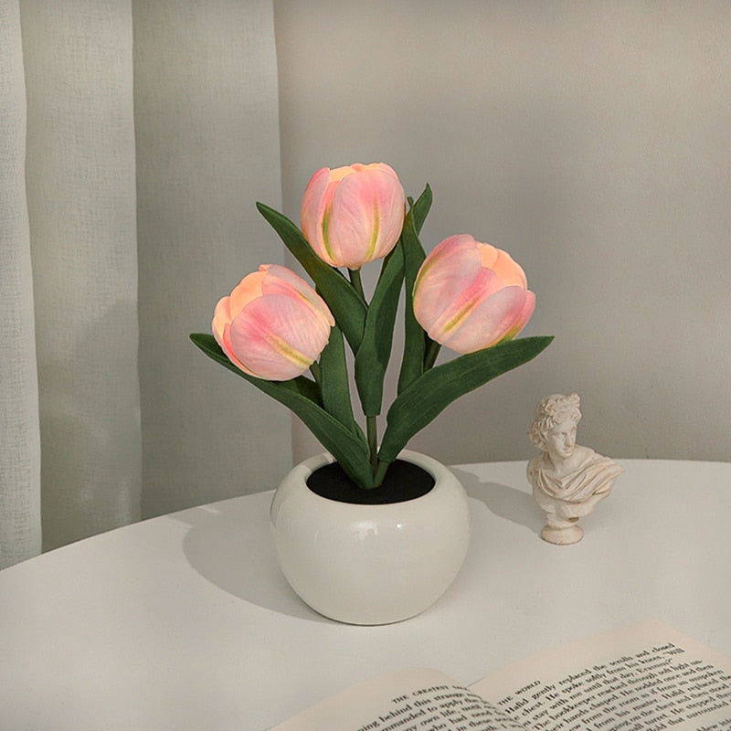Rozmarná záře tulipánů