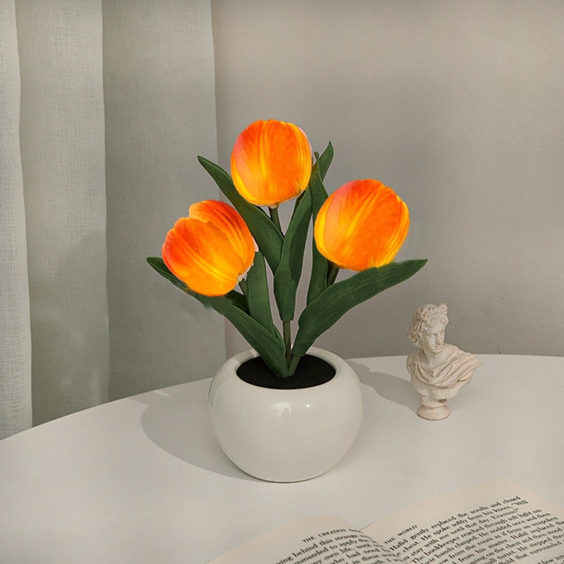Rozmarná záře tulipánů
