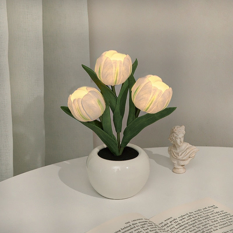 Rozmarná záře tulipánů