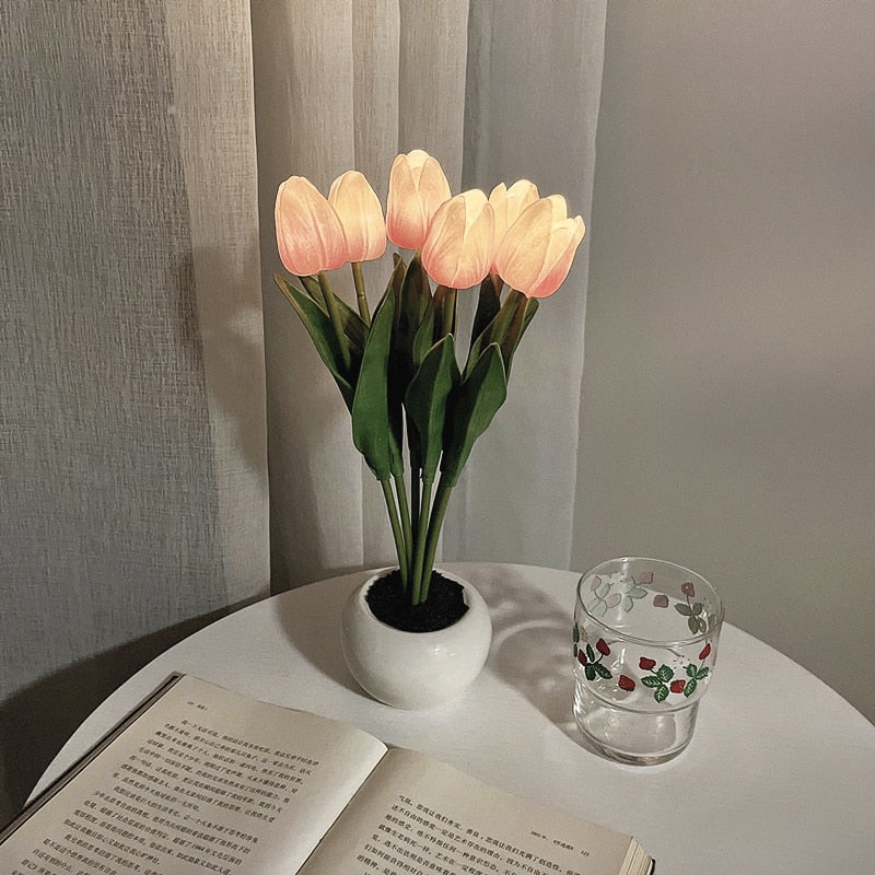 Rozmarná záře tulipánů