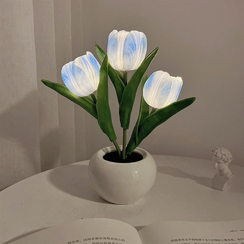 Rozmarná záře tulipánů