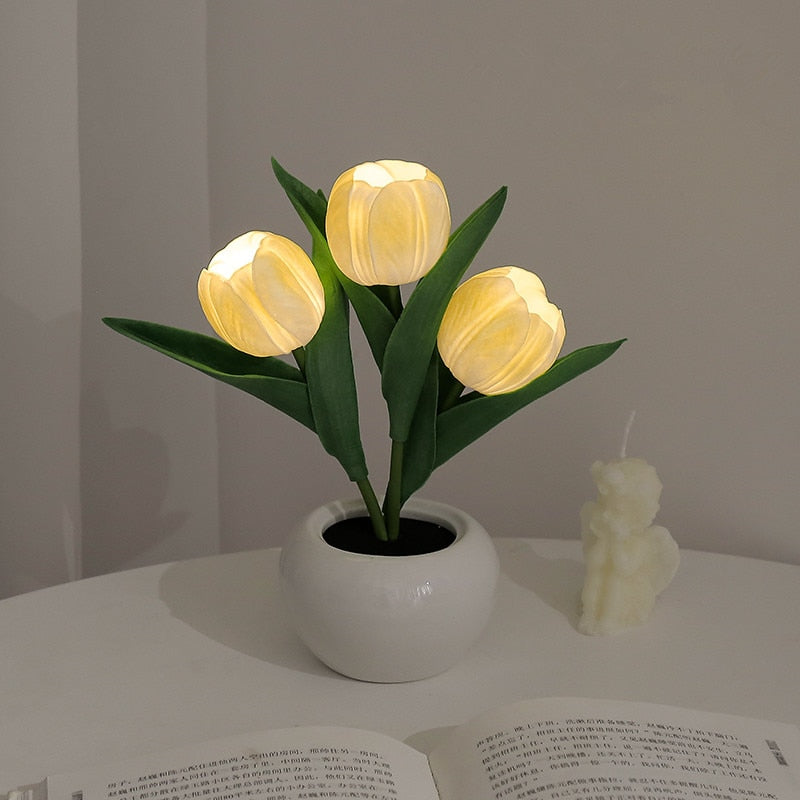 Rozmarná záře tulipánů