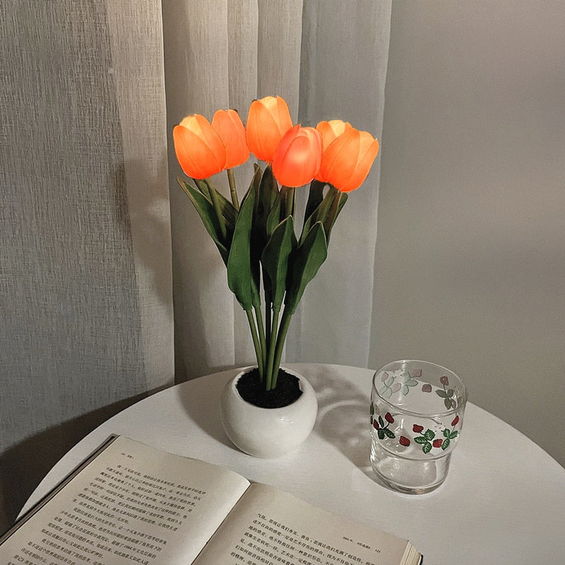Rozmarná záře tulipánů
