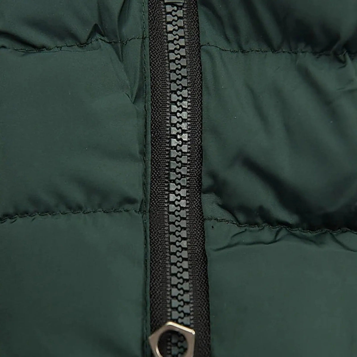 Dámská zimní bunda slim-fit