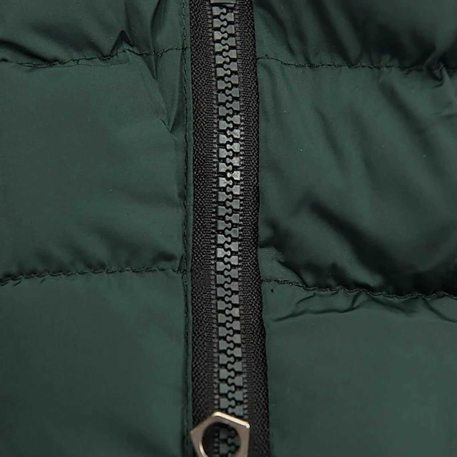 Dámská zimní bunda slim-fit