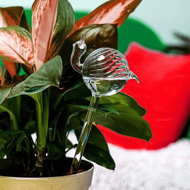 Samozavlažovací žárovka