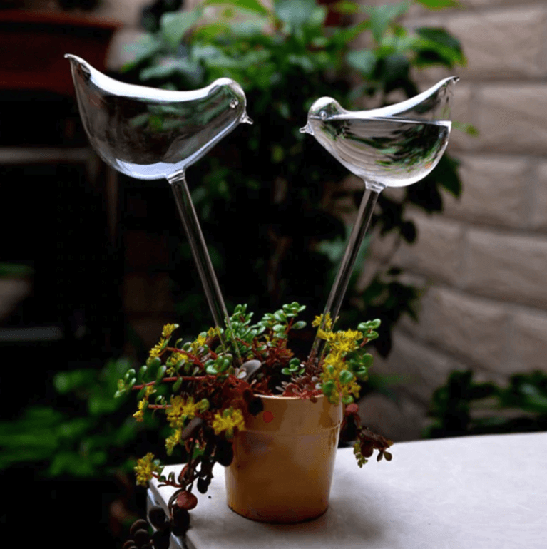 Samozavlažovací žárovka