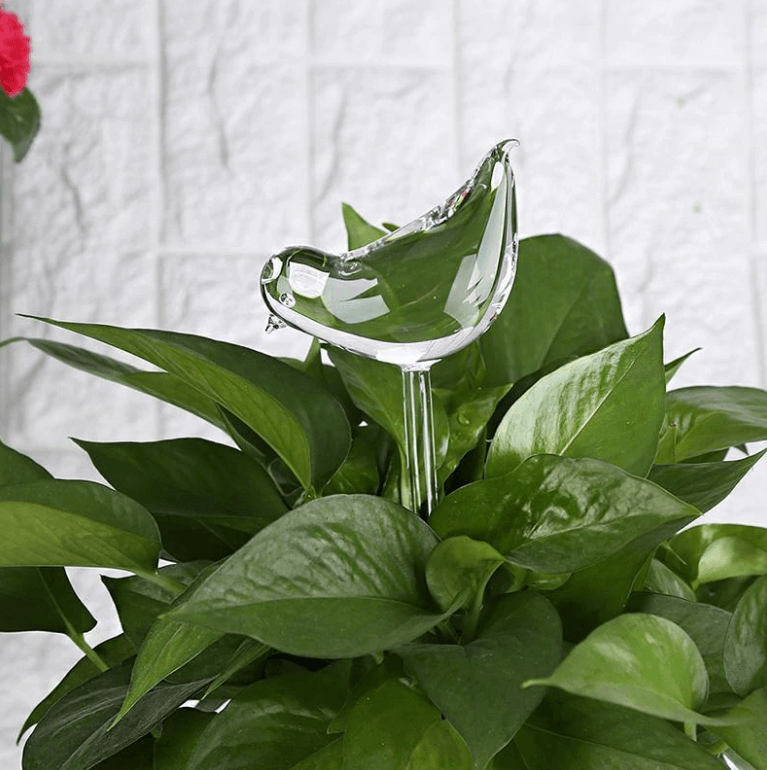 Samozavlažovací žárovka